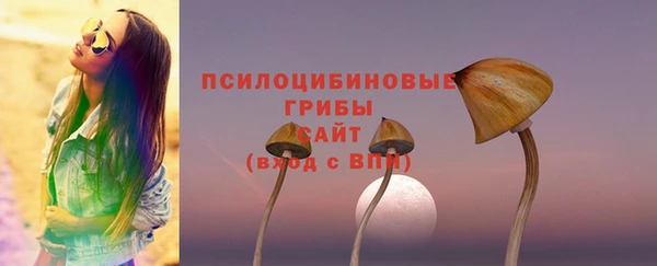 наркотики Карпинск