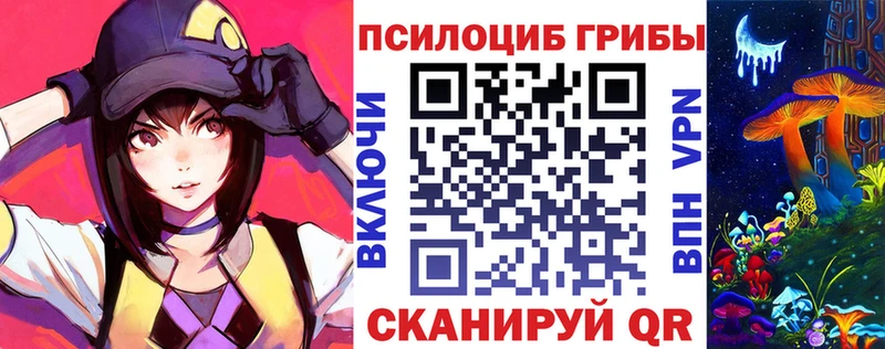Купить где Волоколамск Галлюциногенные грибы ЛСД