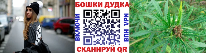 Бошки Шишки MAZAR  Купить  Волоколамск 